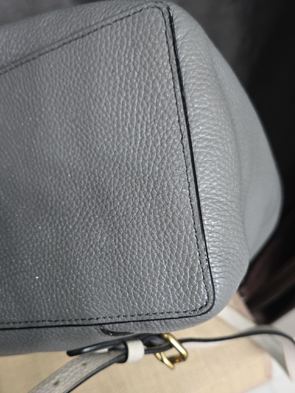 Coach Gray and Cream Leather Drawstring Backpack with Snakeskin Trim - Picture 9 of 14